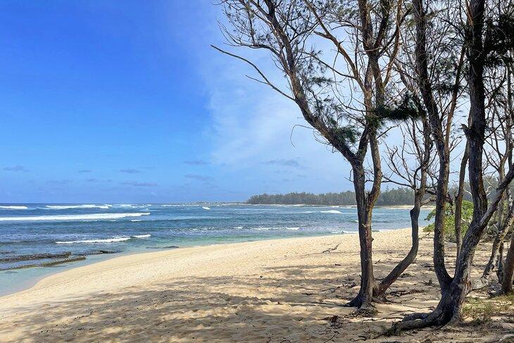 Wanderung von Turtle Bay zu Kahuku Point