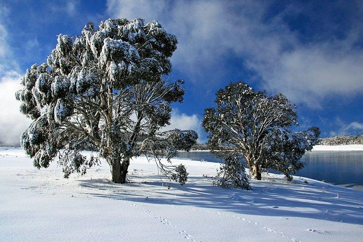 Parque Nacional Kosciuszko