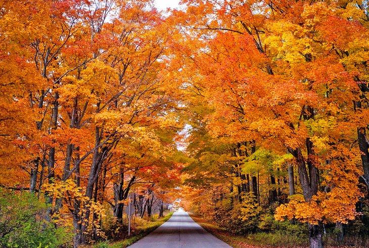 Otoño en Door County, Wisconsin