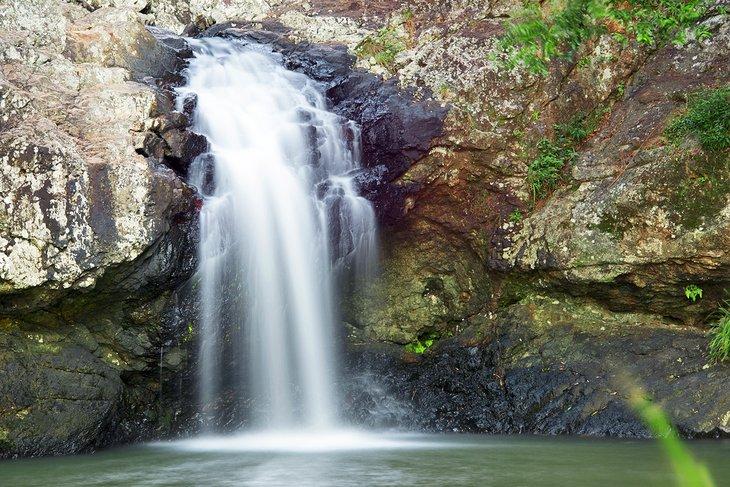 Cascadas Kondalilla