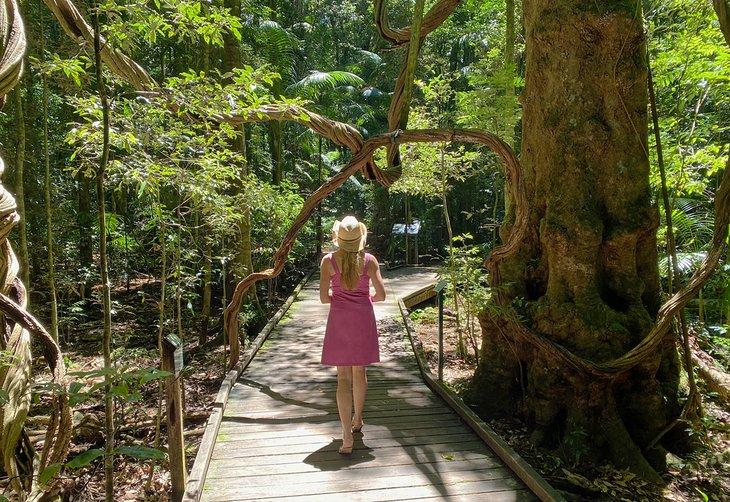 Pasarela a través del Reserva Escénica Mary Cairncross