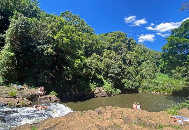 Cascadas Gardners