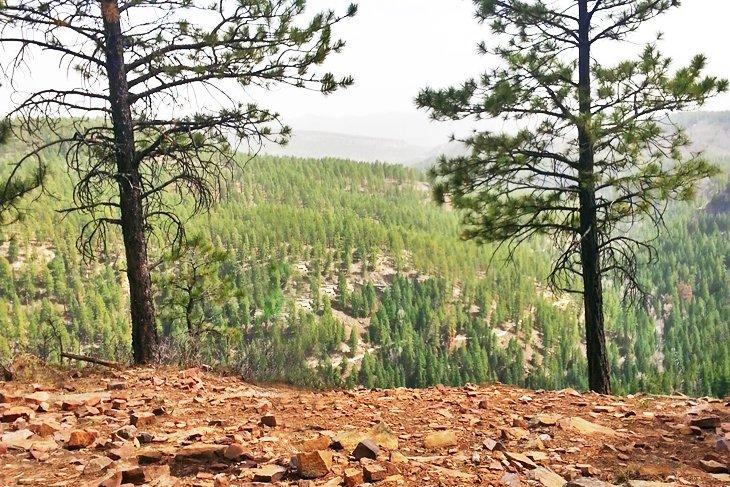 Senderismo a lo largo del Colorado Trail