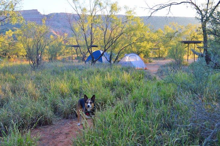 Acampada con mascotas en el Parque Estatal Palo Duro Canyon