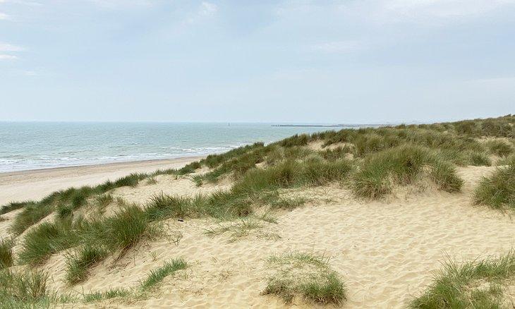 Dunas en Camber Sands