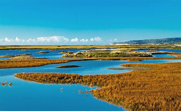 Reserva Natural de Rye Harbour