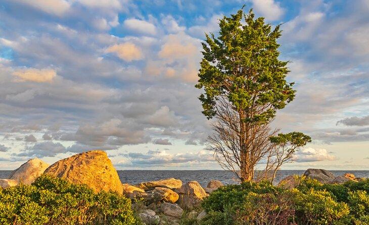 Parque Estatal Hammonasset Beach