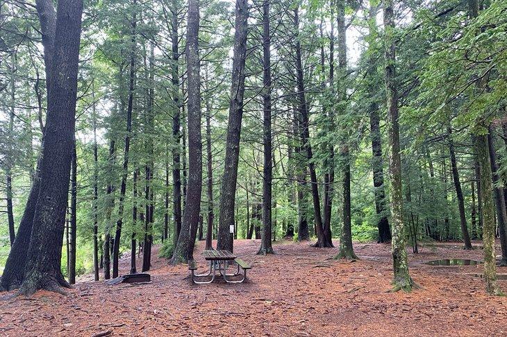 Camping en el Parque Estatal Bigelow Hollow