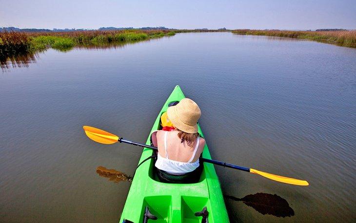 Kayakista en Little Saint Simons Island