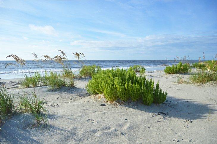 East Beach en St. Simons Island