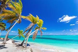 Playas en Anguila