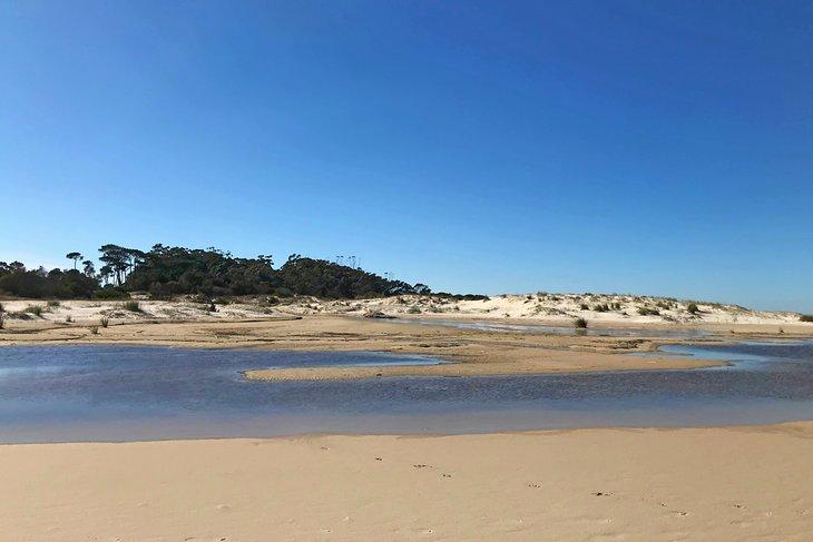 Playa Pinamar