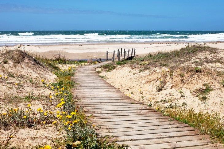 Ruta hacia la Playa Solari en La Paloma, Uruguay