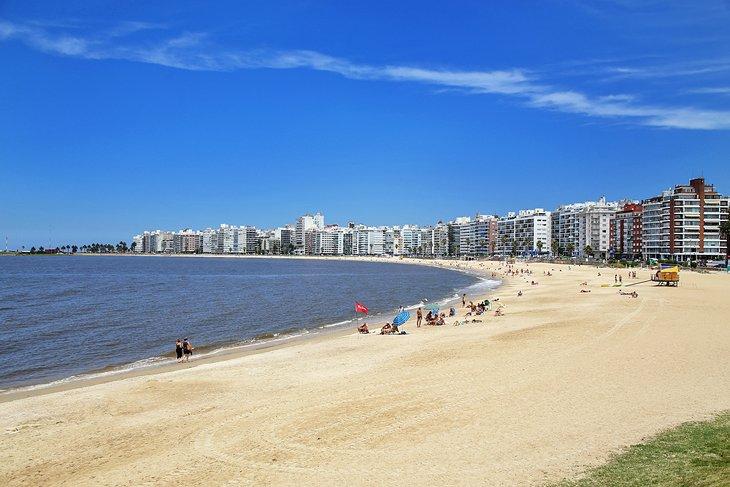 Playa Pocitos