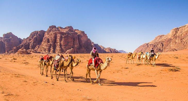 Kamele im majestätischen Wadi Rum, auch bekannt als Tal des Mondes