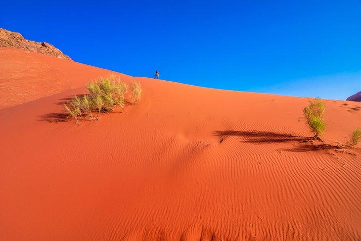 Orangefarbene Sanddünen in Wadi Rum
