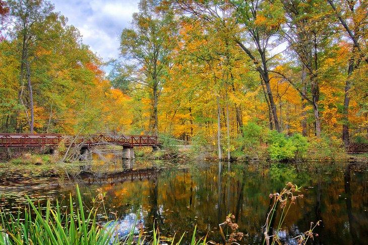 Lago Mallard en el Oak Openings Preserve