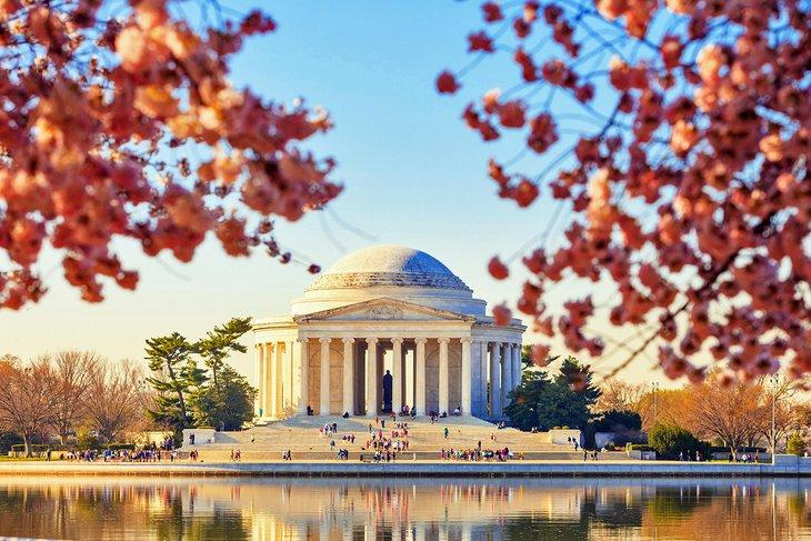 El Monumento a Jefferson durante el Festival de las Flores de Cerezo