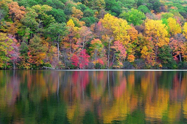 Colores de otoño en Bear Mountain