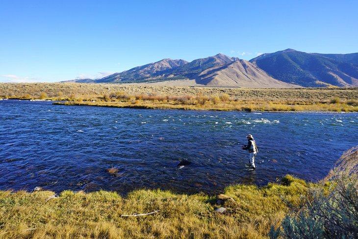 Pescador con mosca en el río Madison