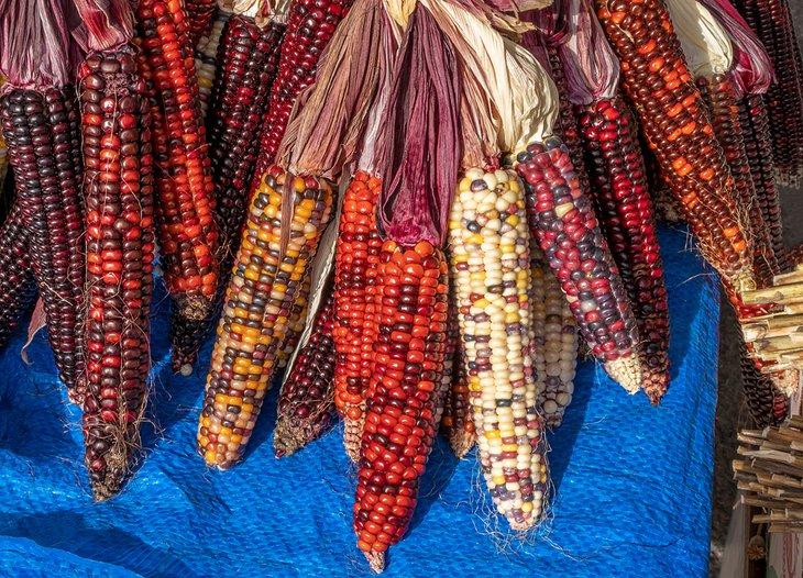 Mazorcas de maíz colorido en el mercado de agricultores