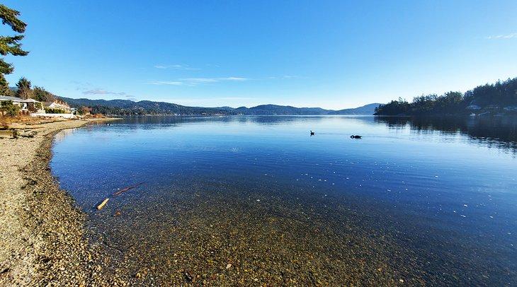 Bassin de Sooke, vue depuis Billings Spit