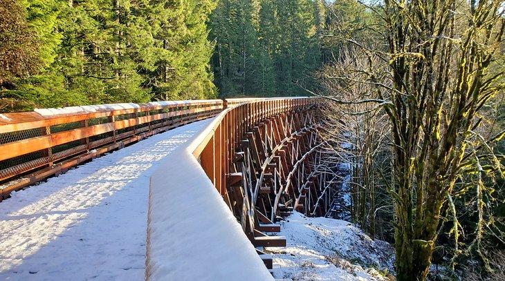 Un pont en treillis sur le sentier Galloping Goose près des Potholes de Sooke