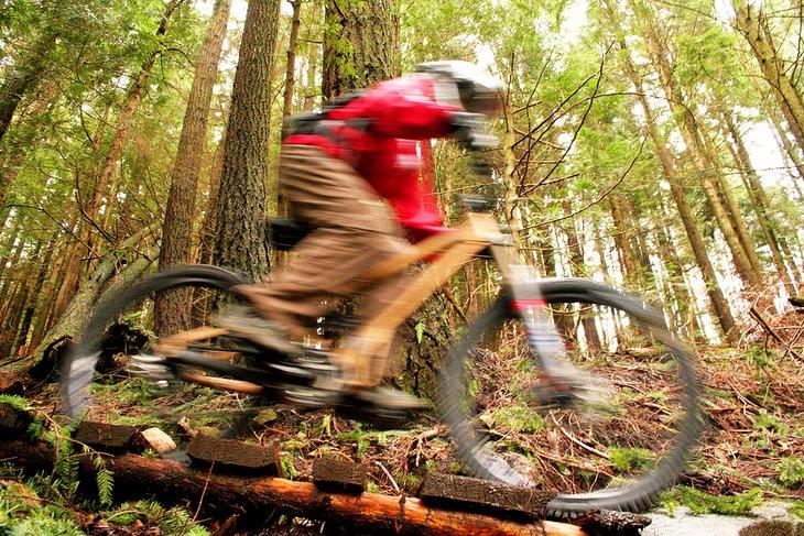 Un cycliste sur un sentier boisé