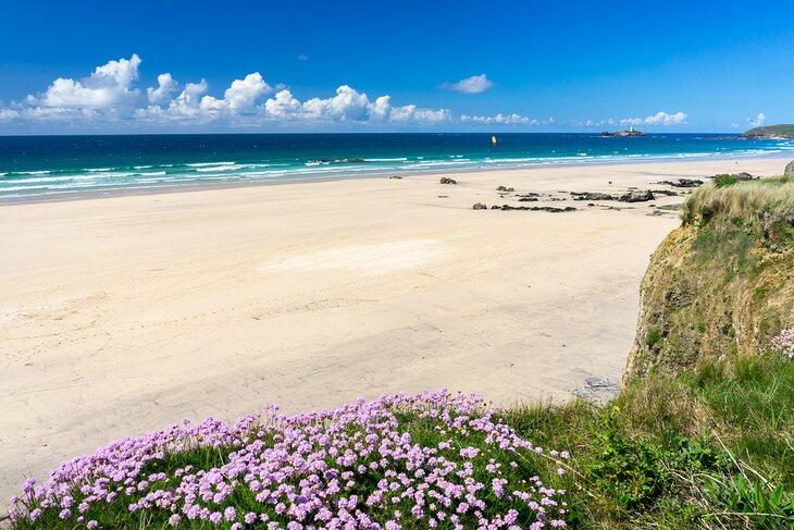 Flores en una hermosa playa en Cornwall, Inglaterra, Reino Unido