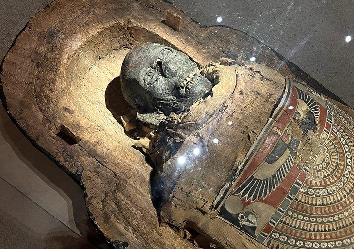 Momia de Nefrina en el Museo Público de Reading