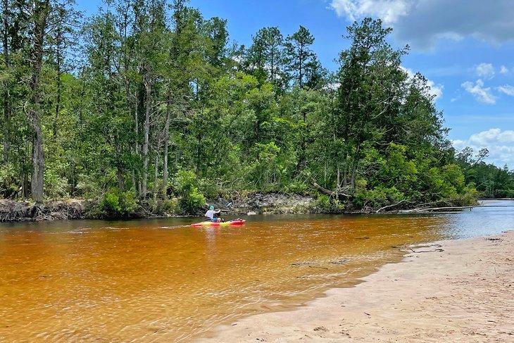 Kayak dans le Blackwater River State Park
