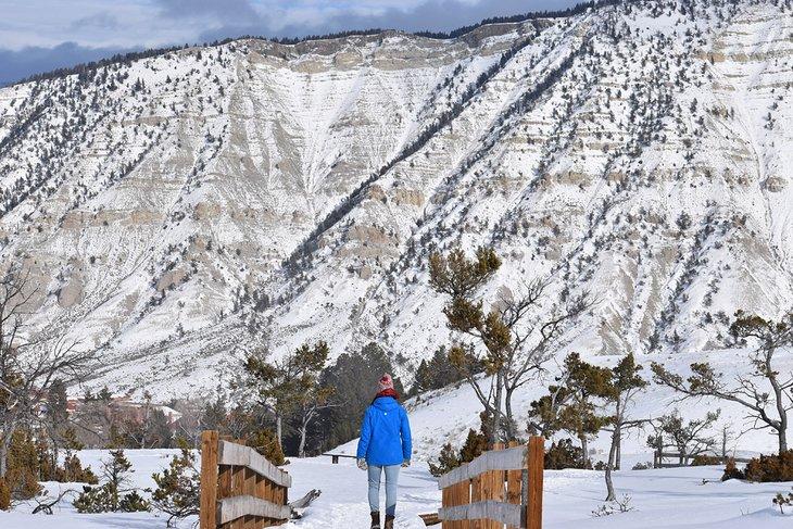 Yellowstone en hiver