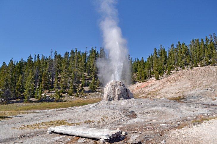 Geyser Lone Star dans le Parc national de Yellowstone