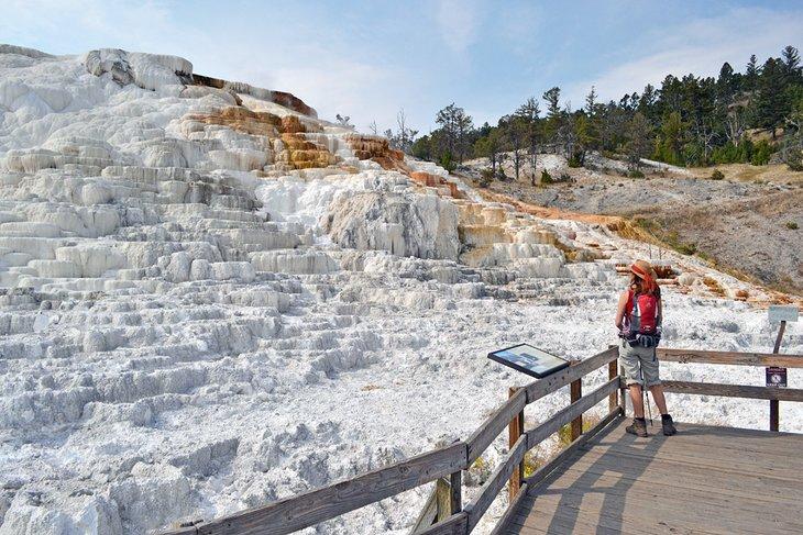 Terrasse de travertin aux Mammoth Hot Springs