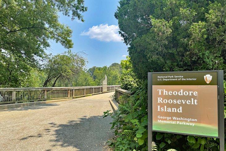 Île Theodore Roosevelt | Photo Copyright: Meagan Drillinger
