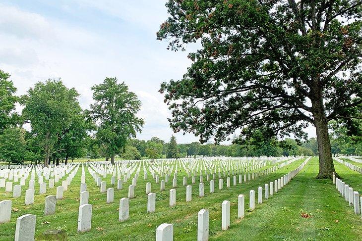 Cimetière national d'Arlington | Photo Copyright: Meagan Drillinger