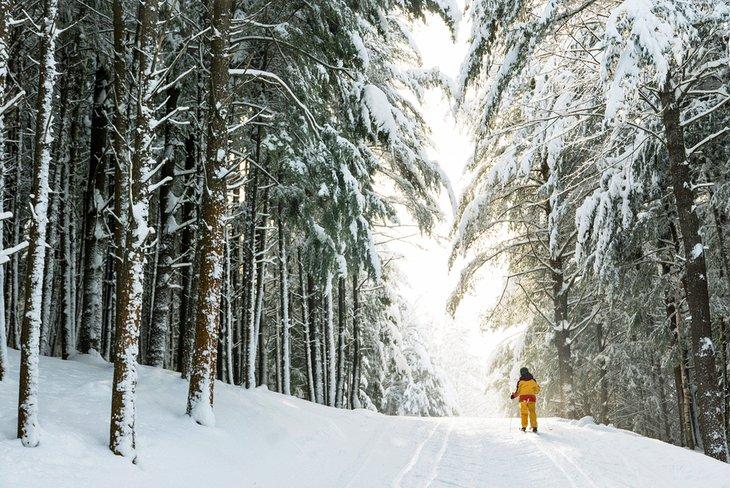Ski de fond dans le Maine