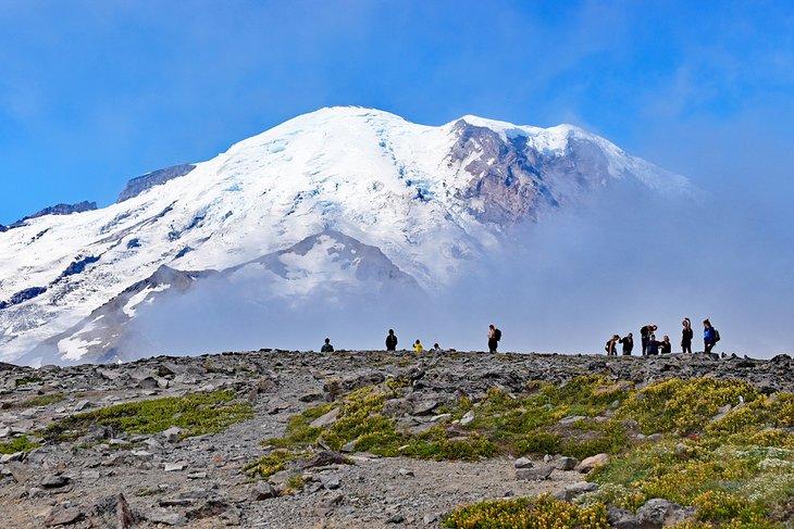 Parc National du Mont Rainier