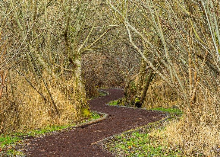 Parc Nature de Mercer Slough