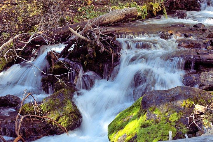 Unterer Fall von Lost Creek Falls