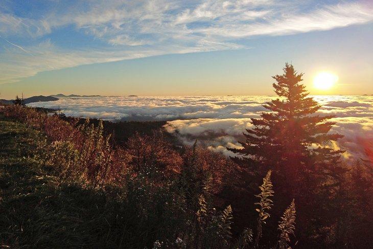 Sonnenaufgang auf Clingmans Dome