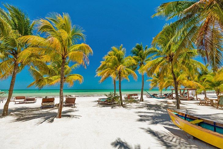 Playa rodeada de palmeras en Isla Holbox
