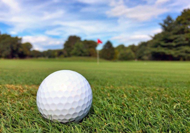 Un hermoso día para jugar al golf