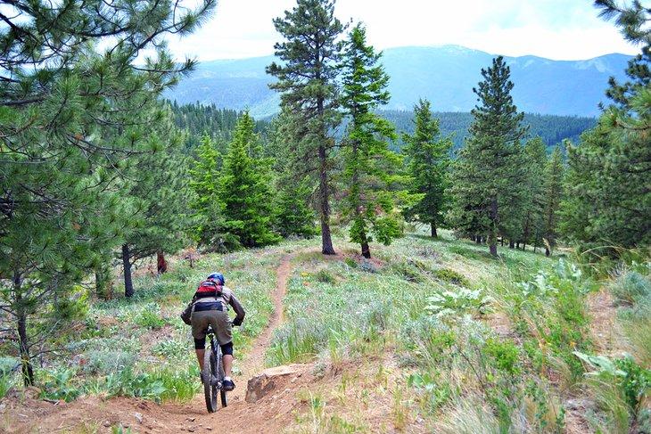Bicicleta de montaña en el patio trasero de Wenatchee
