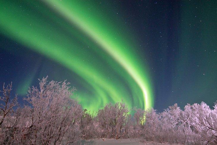 Luces del norte en Abisko, Suecia