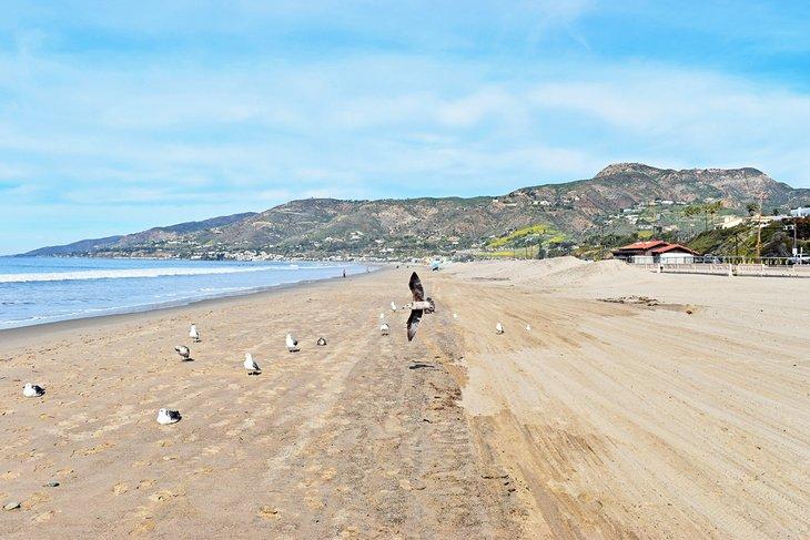 Plage de Zuma