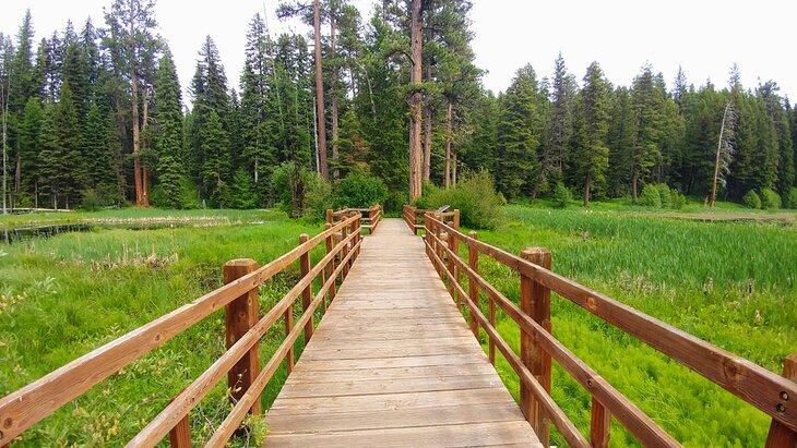 Puente peatonal en el Parque Estatal Ponderosa