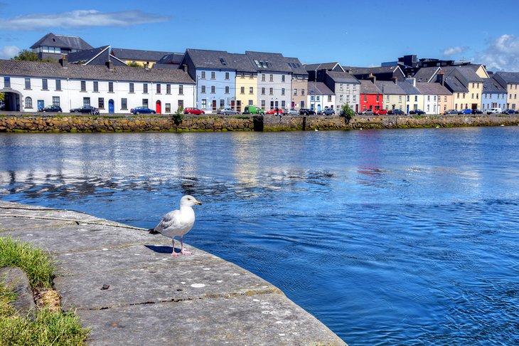 Le Claddagh à Galway, Irlande