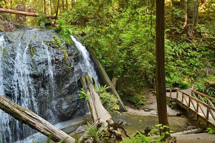 Russian Gulch State Park Wasserfall