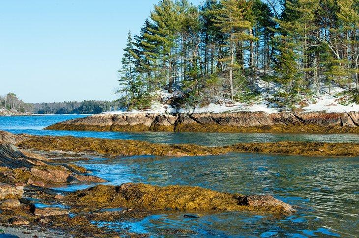 Hiver au parc d'État de Wolfe's Neck, Freeport